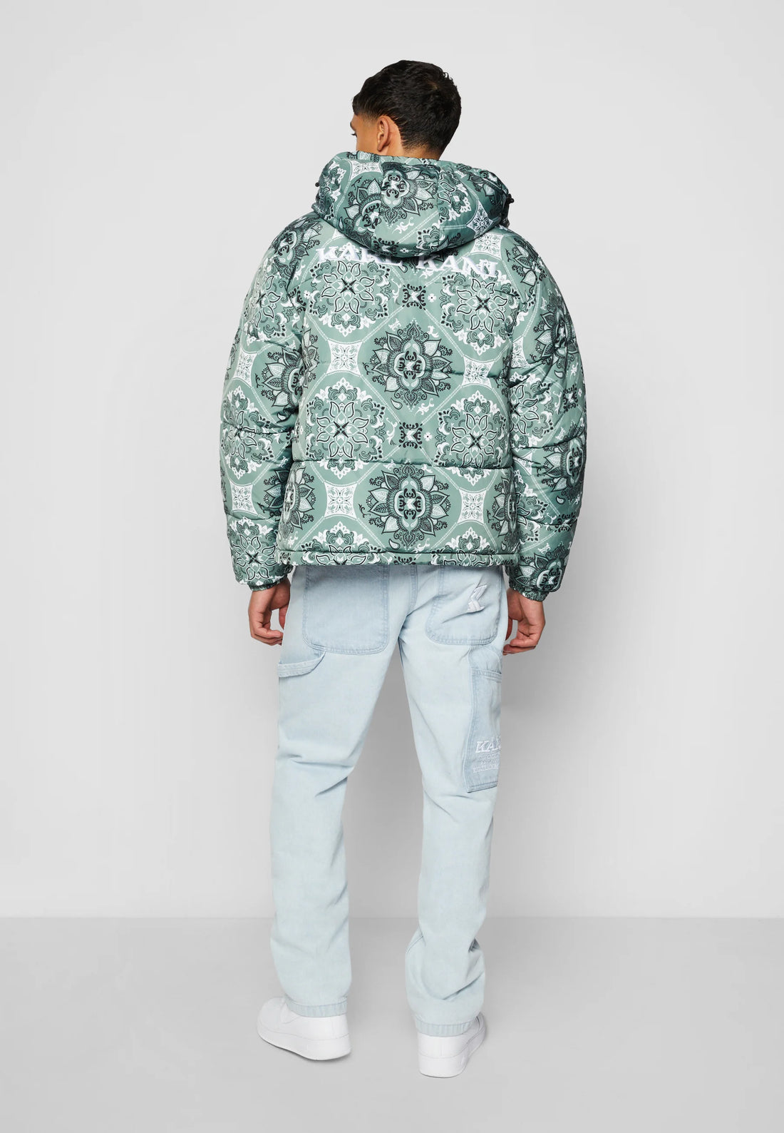 OG PAISLEY PUFFER - Giacca invernale - dusty green