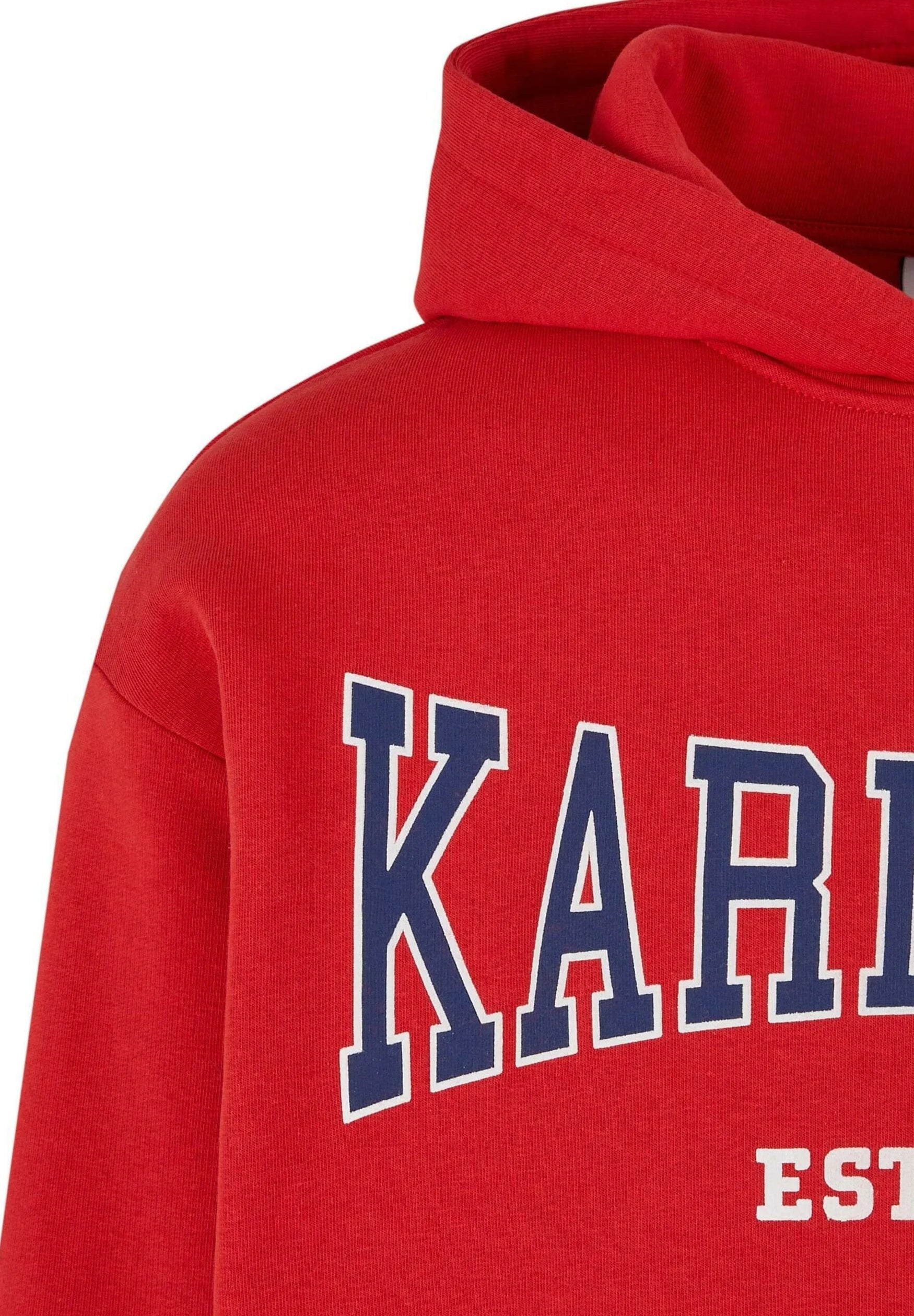 WOVEN RETRO SPLIT OS - Felpa con cappuccio - red sand